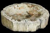 Beautiful Polished Petrified Wood Dish - Madagascar #142801-2